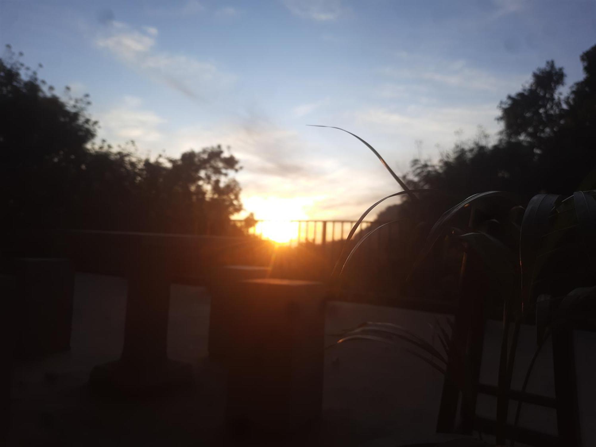 Solace 埃拉 外观 照片